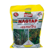 NAGTAP