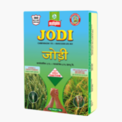 JODI